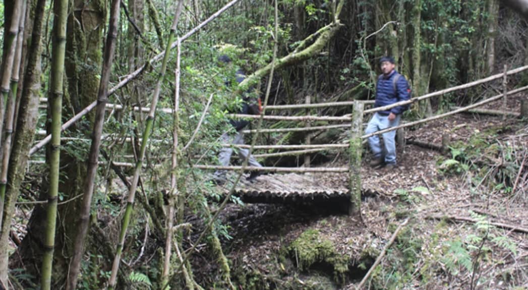 Formulación de proyecto “Turismo Trawunco”