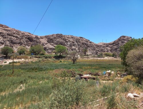 43  SOCIOS DEL VALLE DE LASANA SE BENEFICIAN CON FONDO AGRICULTURA EMERGENTE